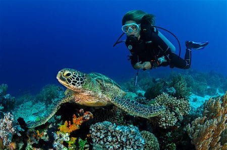 What is the PADI Open Water Course Koh Tao