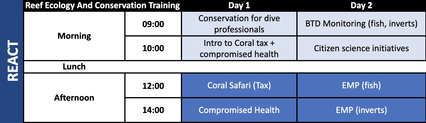 REACT Divemaster Eco Schedule